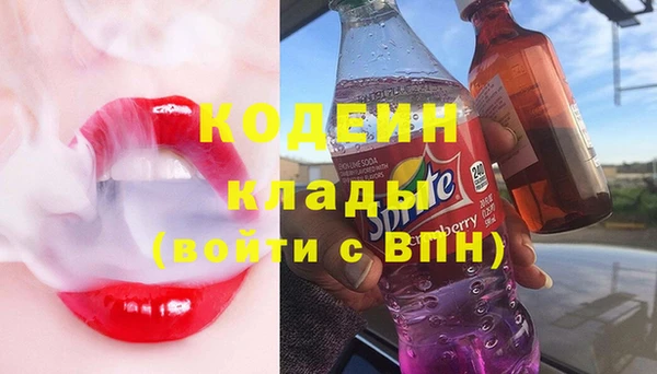 хмурый Липки