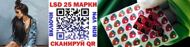 Купить закладки  Чадан  Наркотические марки 1,8мг 