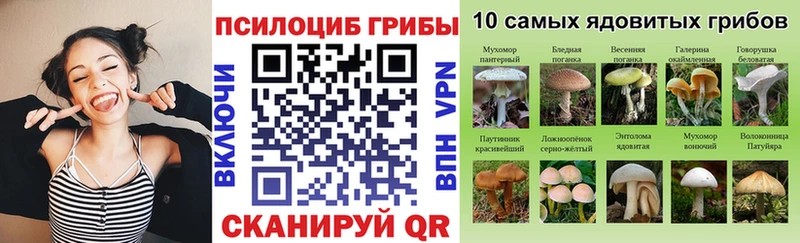 Купить  Чадан  Псилоцибиновые грибы мухоморы 